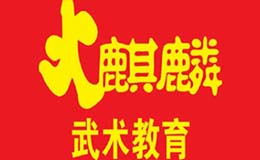 南寧市火麒麟武術(shù)俱樂部