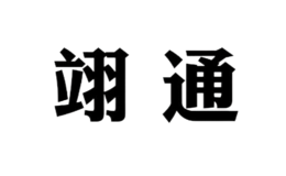 廈門翊通進(jìn)出口有限公司