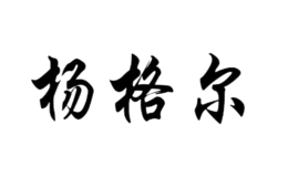 深圳市揚格爾科技有限公司