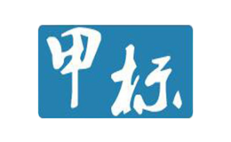 深圳市甲骨文網(wǎng)絡(luò)科技有限公司